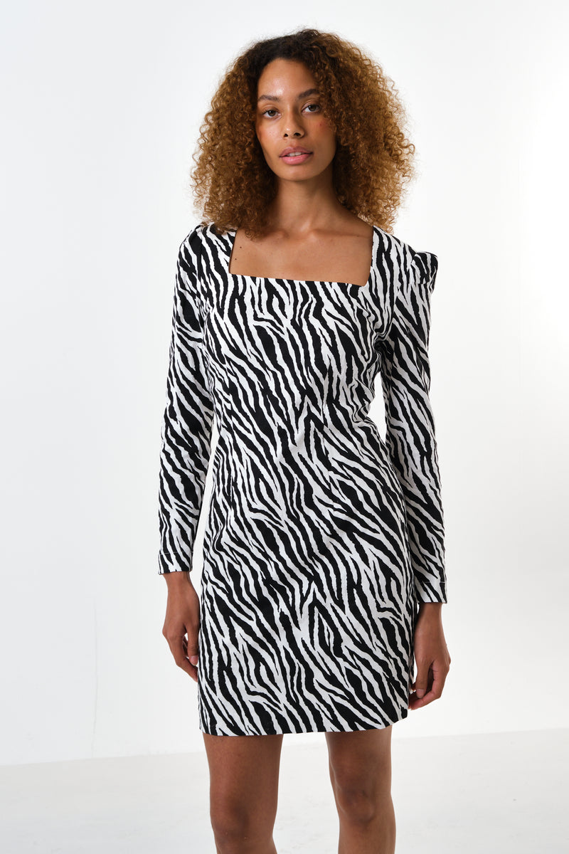Anala Zebra Print Long Sleeve Mini Dress - Front