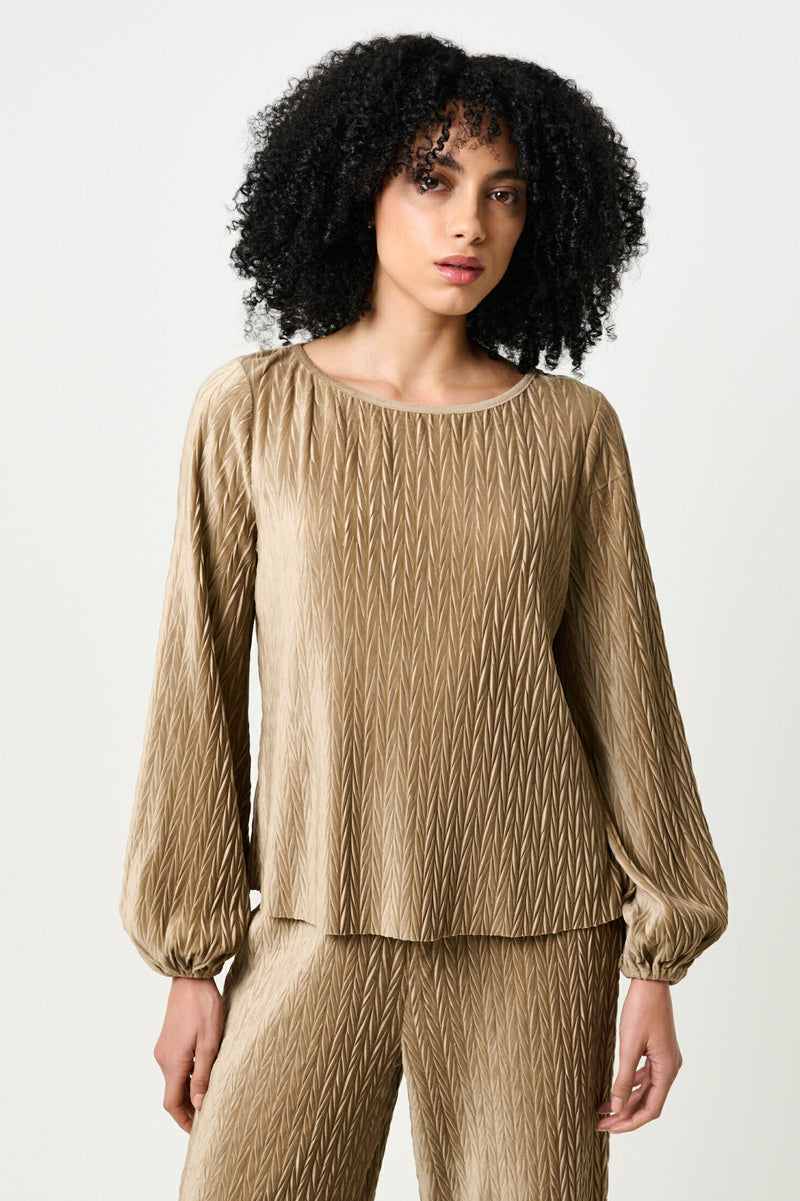 Aba Velvet Pleat Long Sleeve Top - Pale Taupe - Front