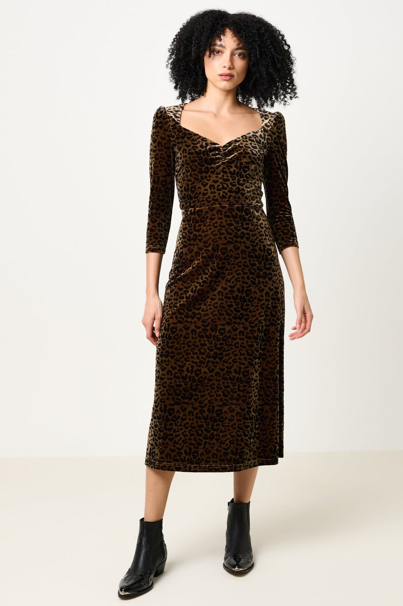 Ambrose Velvet Roar Midi Dress - Taupe - Front