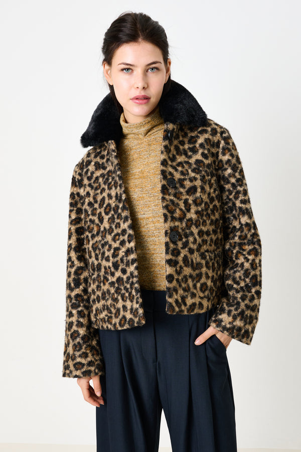 Apple Animal Teddy Faux Fur Collar Jacket - Black